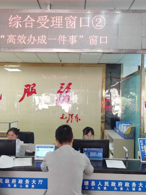 标易企业京牌代办全流程拆解：从资质审核到快速拿证，省心省力的专业指南